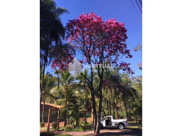 Casa em condomínio_Venda